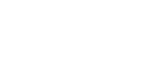 skymiles
